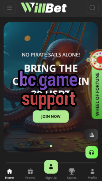 BC.Game Support: Contact & Help-vz72fvrf.com