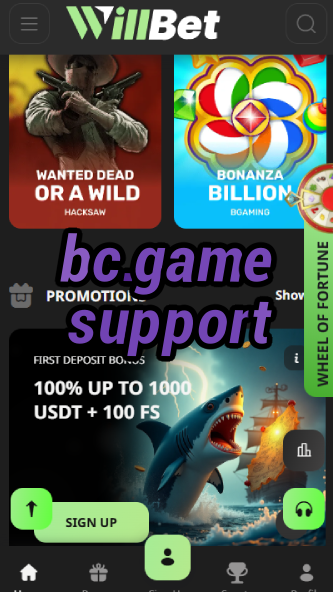 BC.Game Support: Contact & Help-vz72fvrf.com