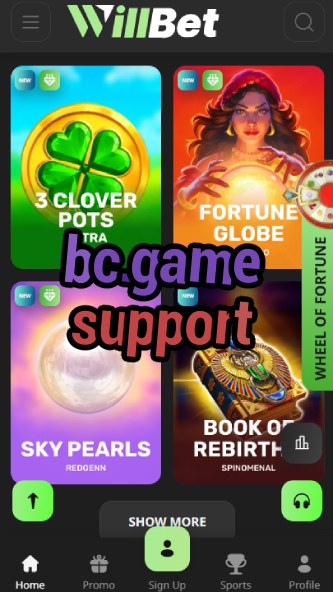 BC.Game Support: Contact & Help-vz72fvrf.com